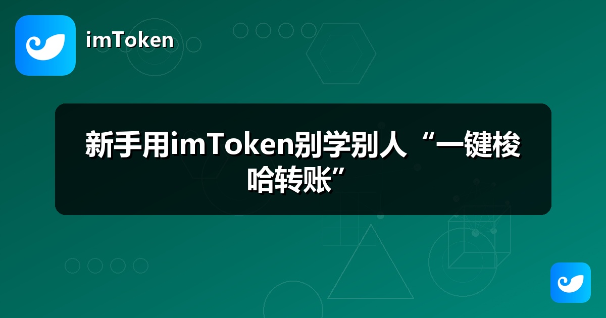 新手用imToken别学别人“一键梭哈转账”