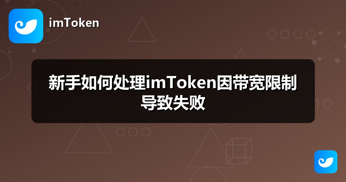 新手如何处理imToken因带宽限制导致失败